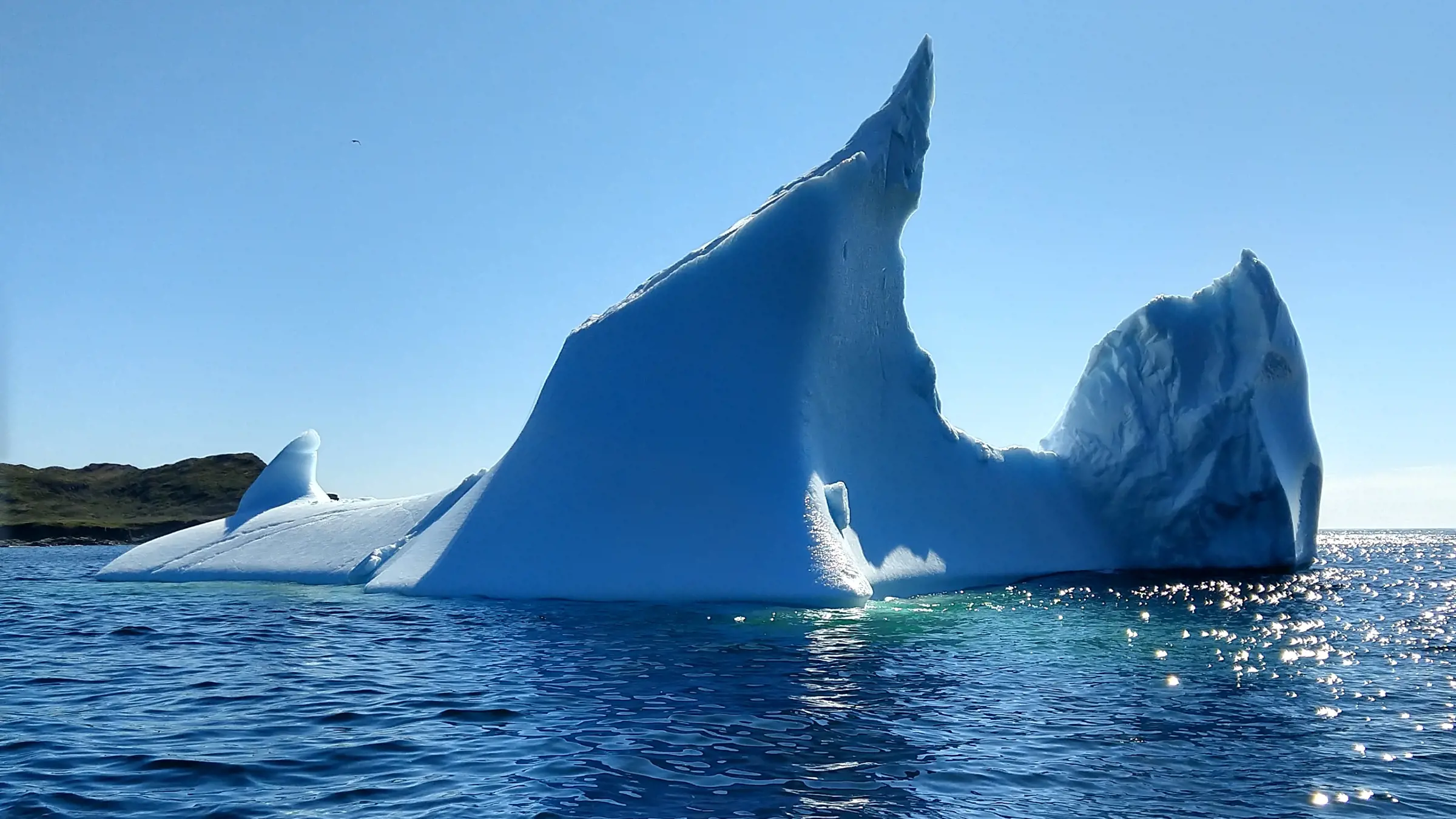 Bewundere die gigantischen Eisberge von Iceberg Alley